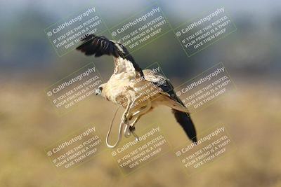 media/Mar-02-2025-Race Pace (Sun) [[8bec80ae00]]/0-No Videos (Too Windy)/